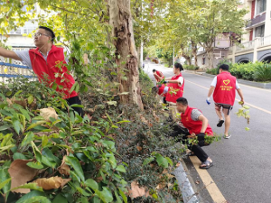 麻江縣糧食購銷公司黨支部 開展志愿服務主題黨日活動